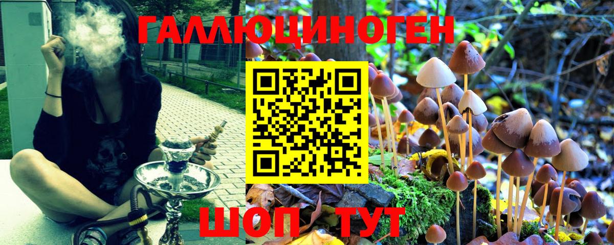 Псилоцибиновые грибы MAGIC MUSHROOMS Алексин