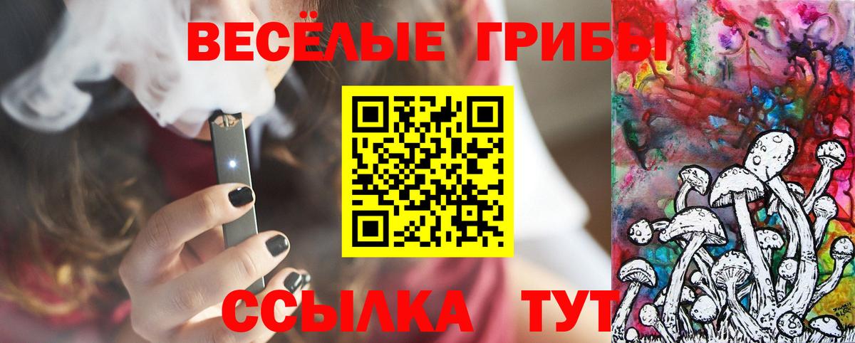Алексин  Галлюциногенные грибы Cubensis  Вход с VPN 