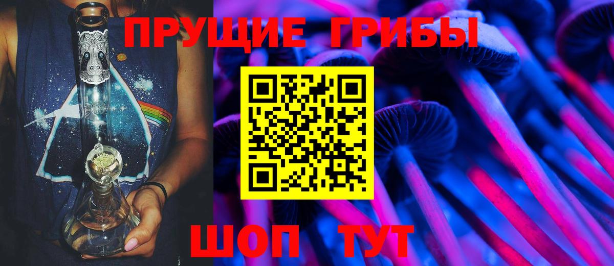 Галлюциногенные грибы Psilocybe Алексин